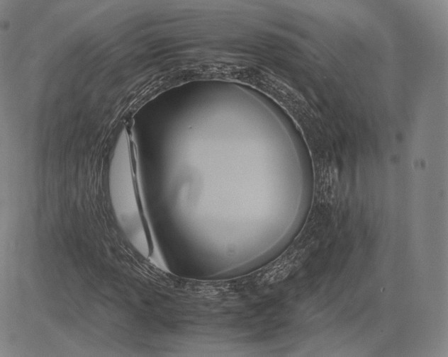 X0000083621013200703051604