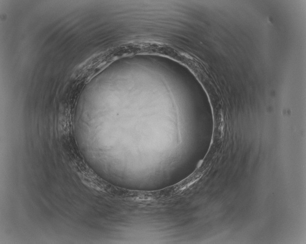 X0000083621014200703051604