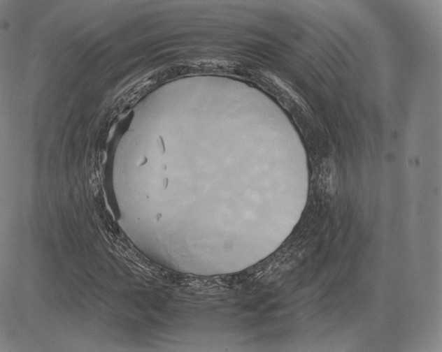 X0000083621015200703051604