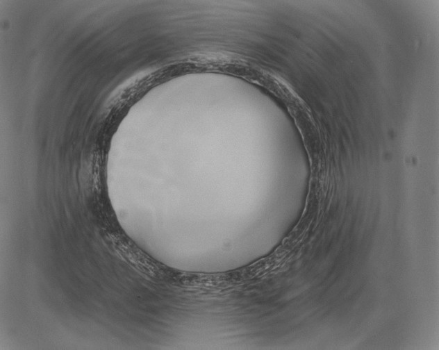 X0000083621016200703051604