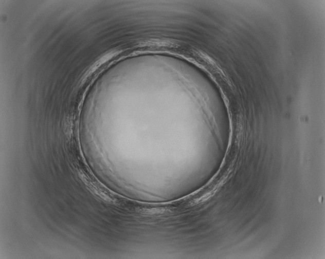 X0000083621017200703051604