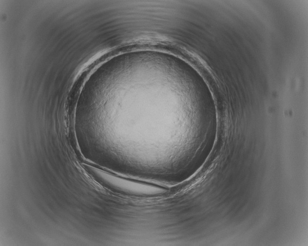 X0000083621018200703051604