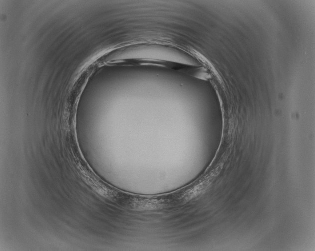 X0000083621019200703051604