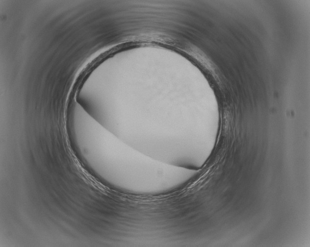 X0000083621020200703051604