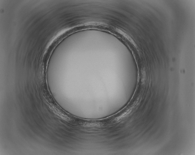 X0000083621021200703051604