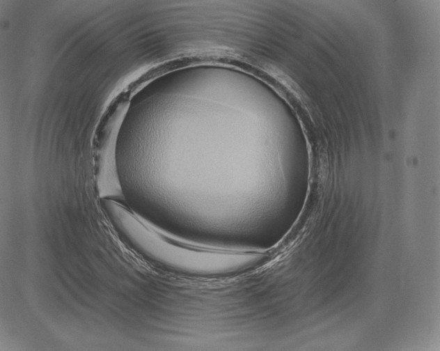 X0000083621022200703051604