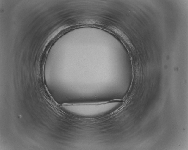 X0000083621023200703051604