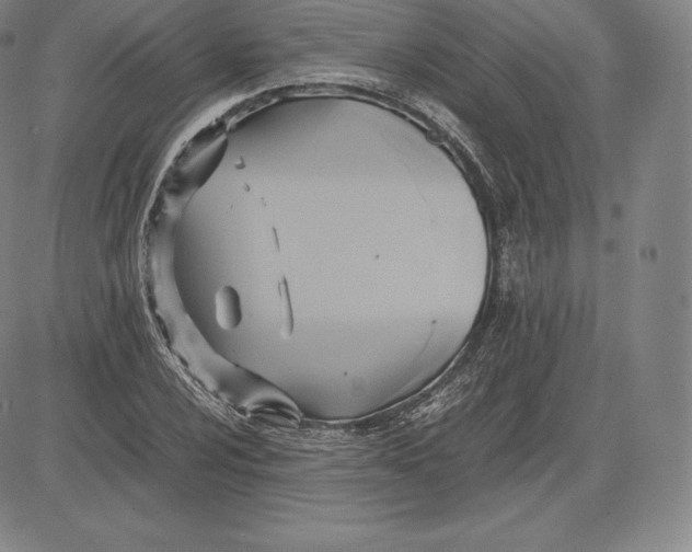 X0000083621024200703051604