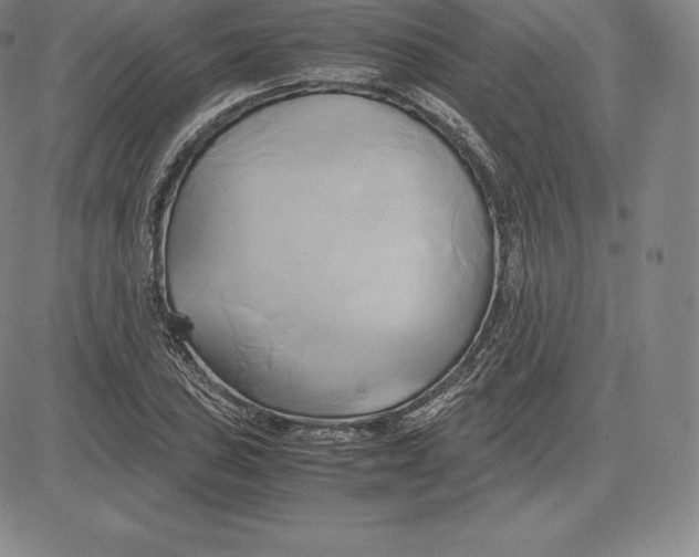 X0000083621027200703051604