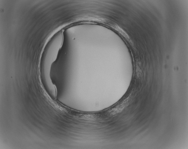 X0000083621028200703051604