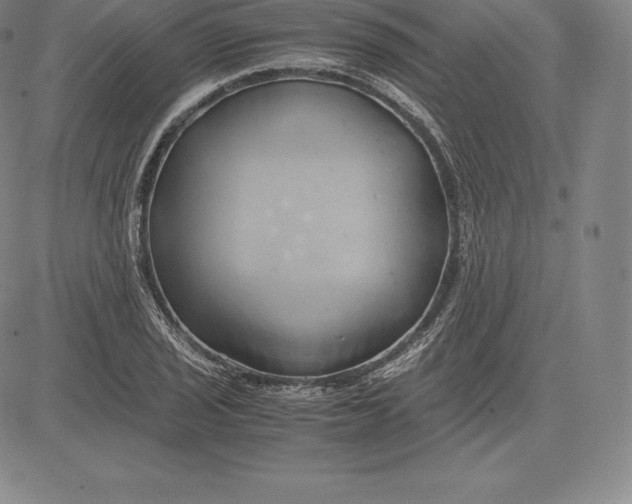 X0000083621029200703051604