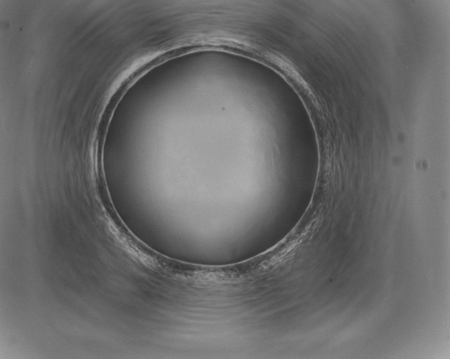 X0000083621032200703051604