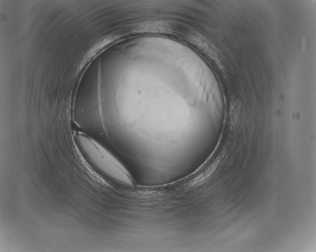 X0000083621033200703051604