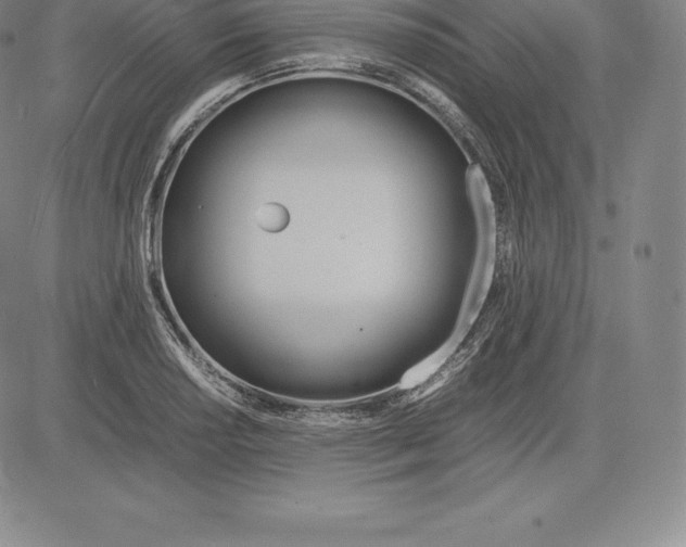 X0000083621034200703051604