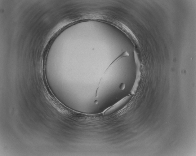 X0000083621035200703051604