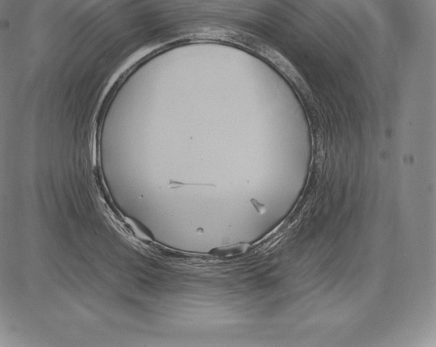 X0000083621036200703051604