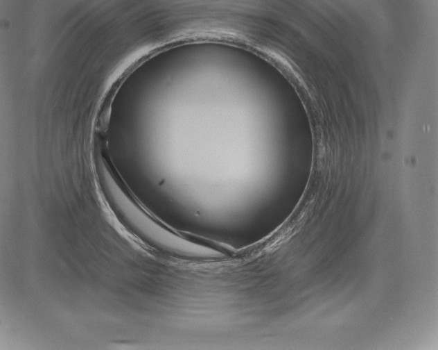 X0000083621038200703051604