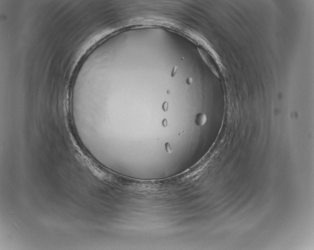 X0000083621040200703051604