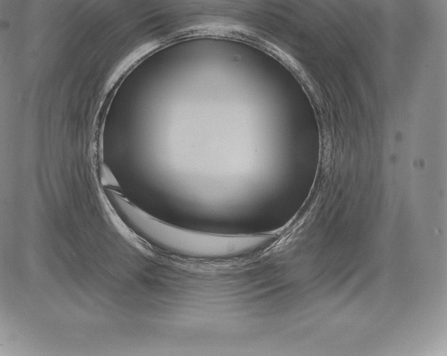 X0000083621042200703051604