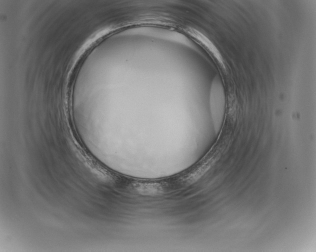 X0000083621043200703051604