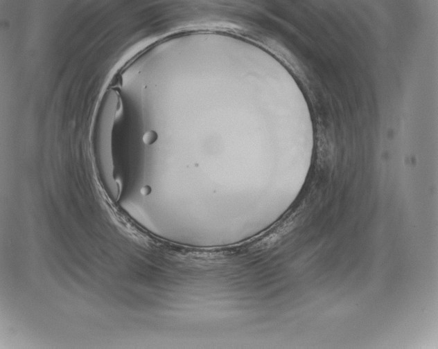 X0000083621044200703051604