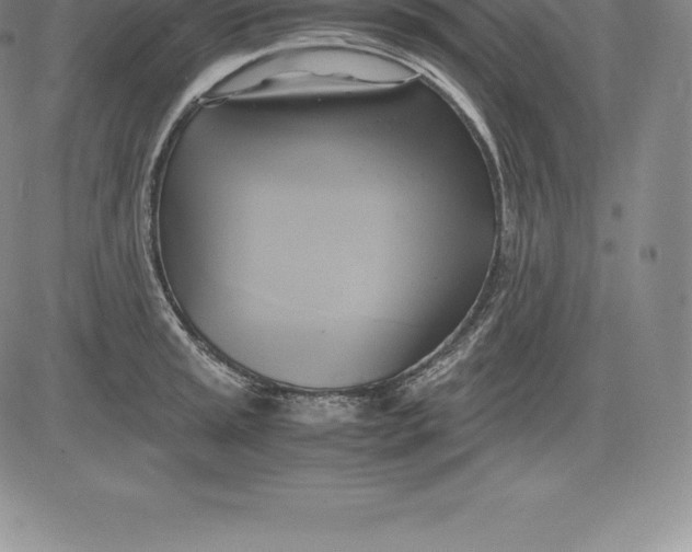 X0000083621045200703051604