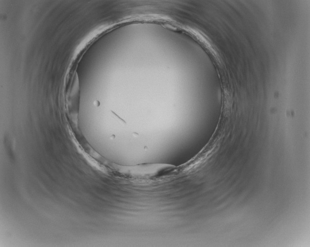 X0000083621046200703051604