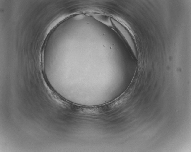 X0000083621047200703051604