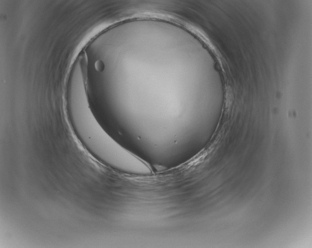 X0000083621048200703051604