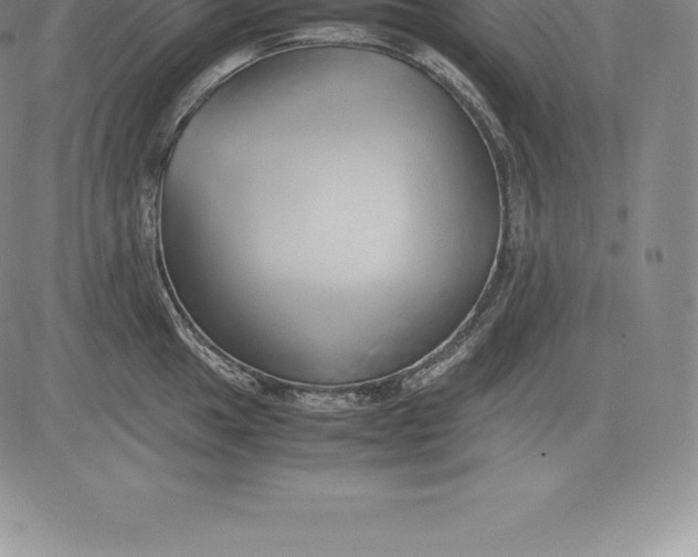 X0000083621049200703051604