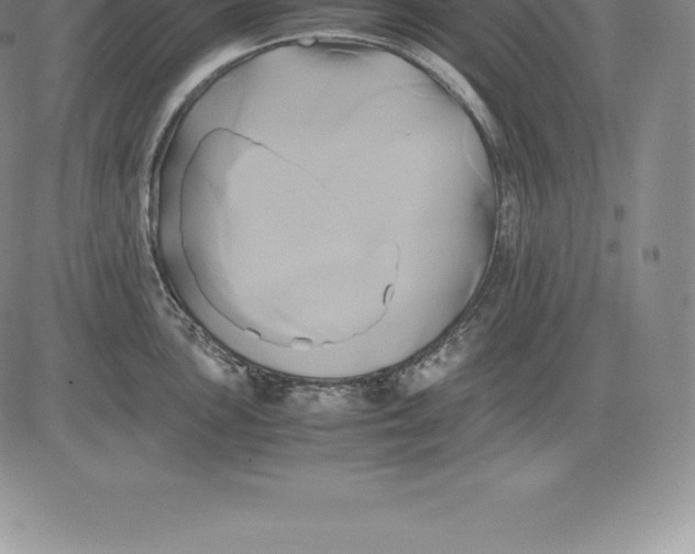 X0000083621051200703051604