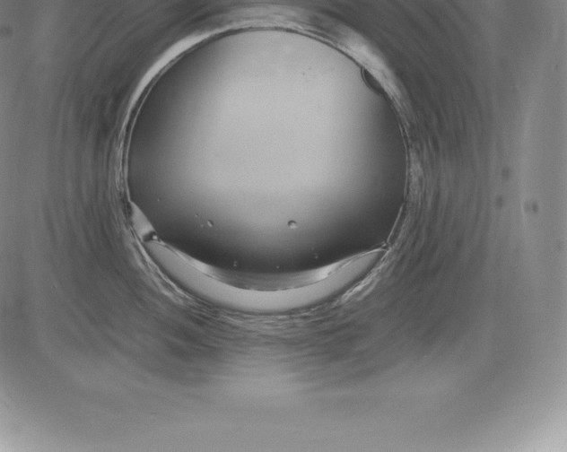 X0000083621052200703051604