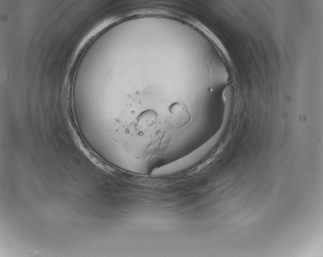 X0000083621053200703051604