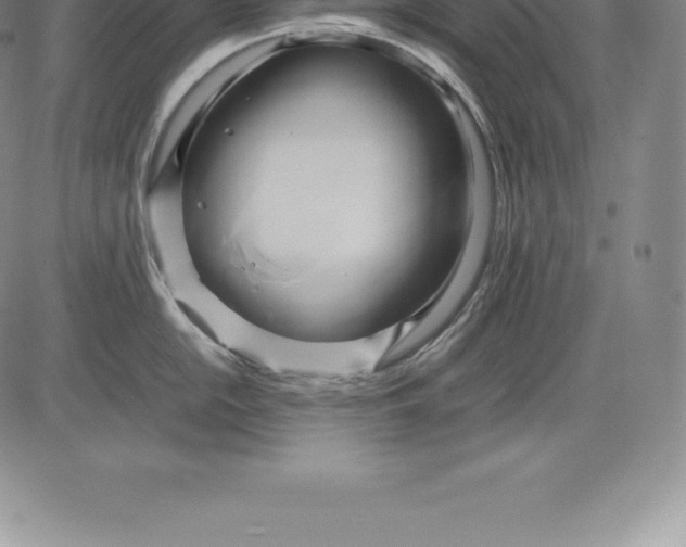 X0000083621054200703051604