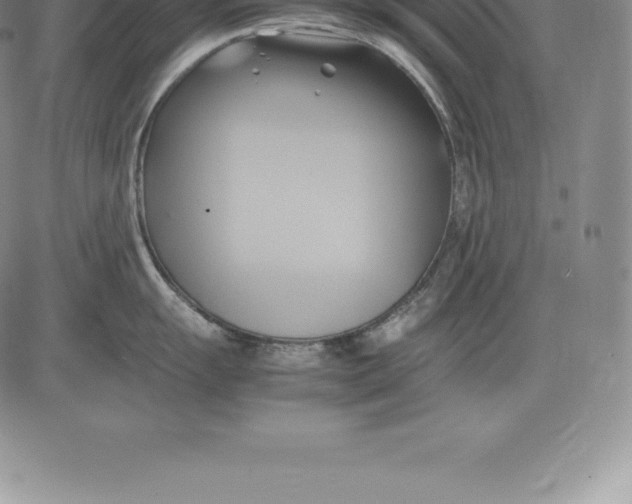 X0000083621055200703051604