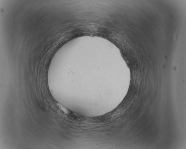 X0000083621057200703051603