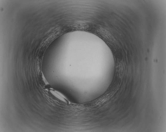 X0000083621058200703051603