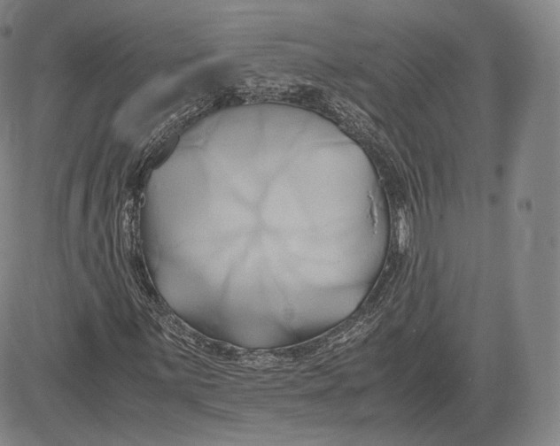 X0000083621059200703051603