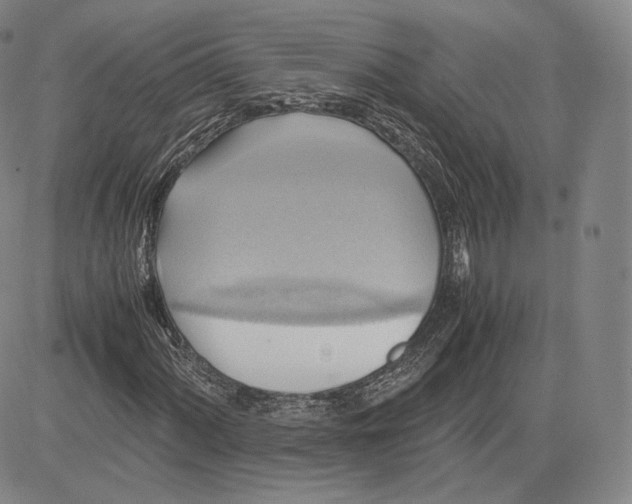 X0000083621060200703051603