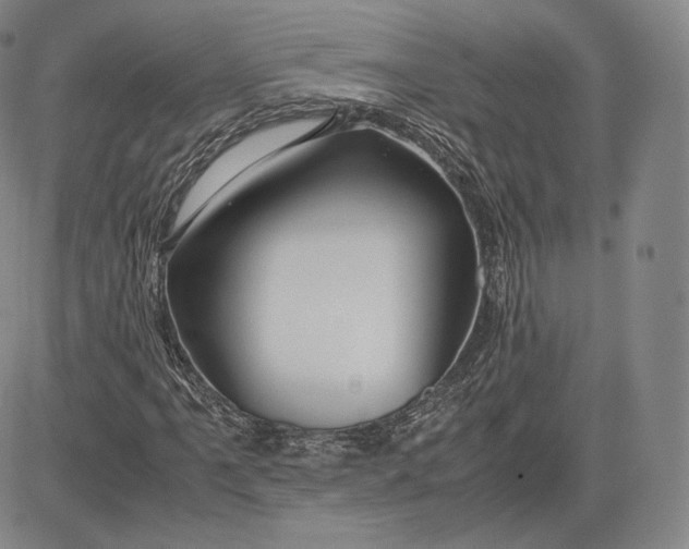 X0000083621061200703051603