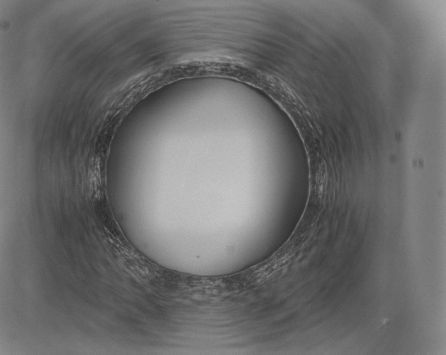 X0000083621062200703051603