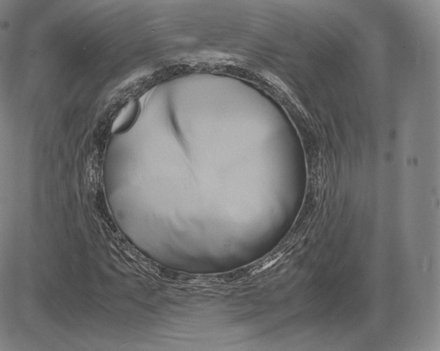 X0000083621063200703051603