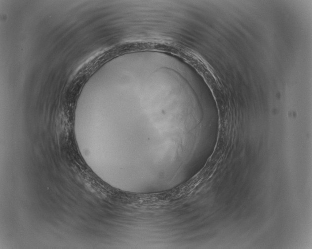 X0000083621064200703051603