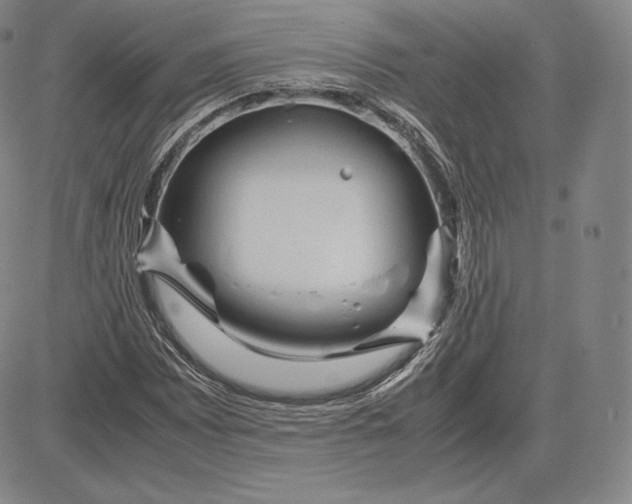 X0000083621065200703051603