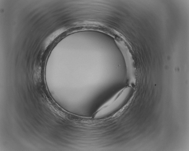 X0000083621066200703051603