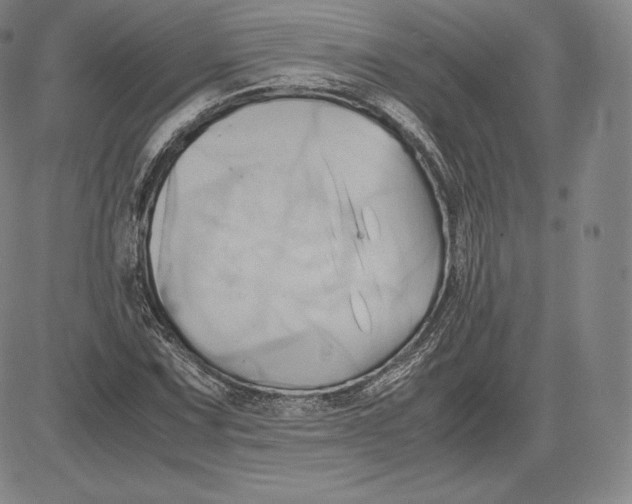 X0000083621067200703051603