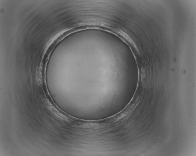 X0000083621068200703051603