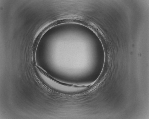 X0000083621069200703051603