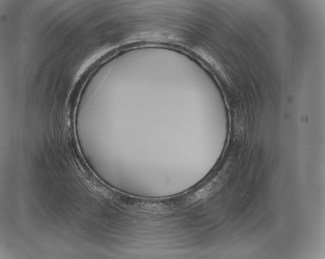 X0000083621070200703051603