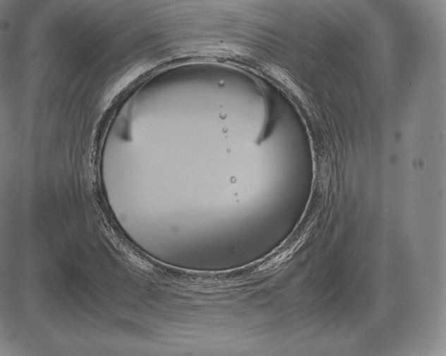 X0000083621071200703051603